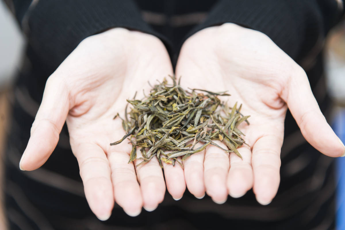 大红袍茶叶的健康益处有哪些？