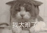 重燃热血,回归正当时!怀旧mmo玩家归宿还得是天下贰经典版