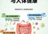 发酵食品养肠有讲究:不同菌种发酵产物作用不同,选错反而扰乱原有菌群平衡