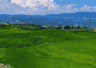 大方县小屯乡：千亩梯田，还你夏日清凉