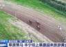 各地推出“夏日限定”文旅项目:草原骑马、伏羊盛宴、文博之旅等特色体验受青睐