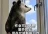 中国美院新生录取通知书附带速写作业30份 开学需上交