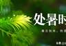 明天处暑,提醒大家:“3样不上桌,福气不进门”,莫忘老传统!