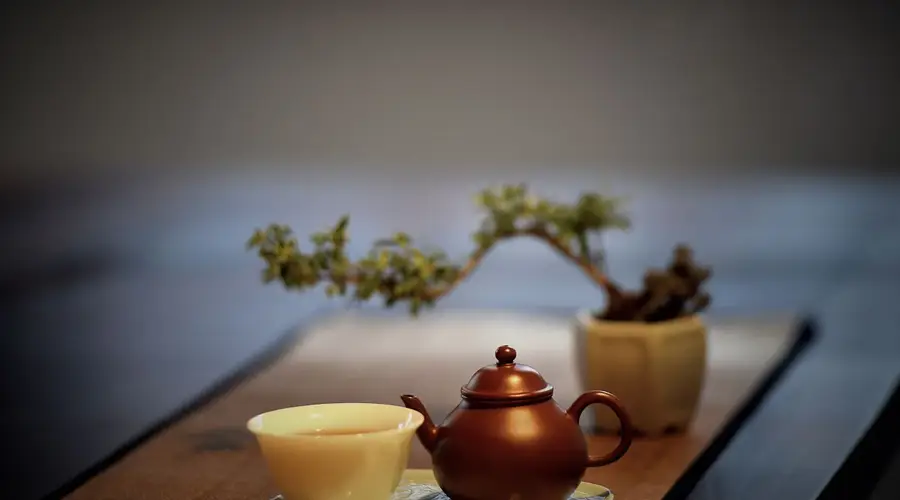 一茶一世界：品人生之苦，盼回甘之甜