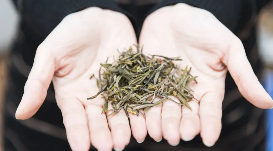大红袍茶叶的健康益处有哪些？