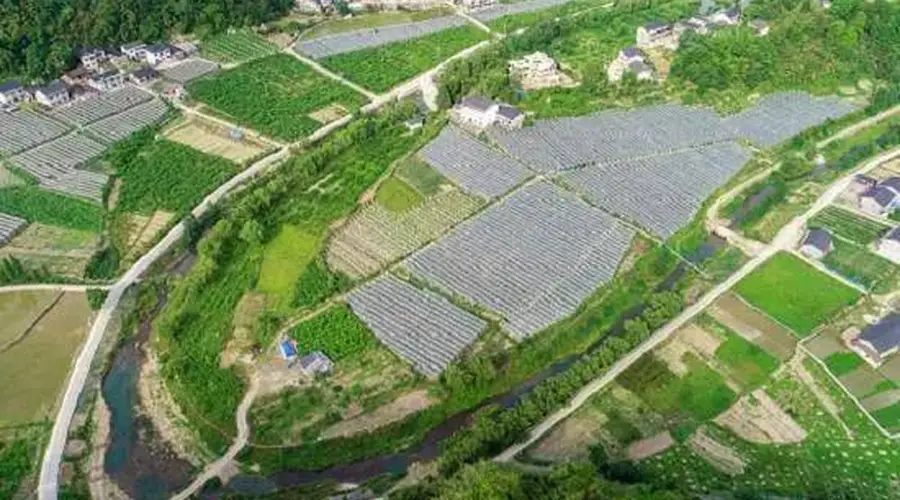 青龙垭:龙脉深处的山水田园诗