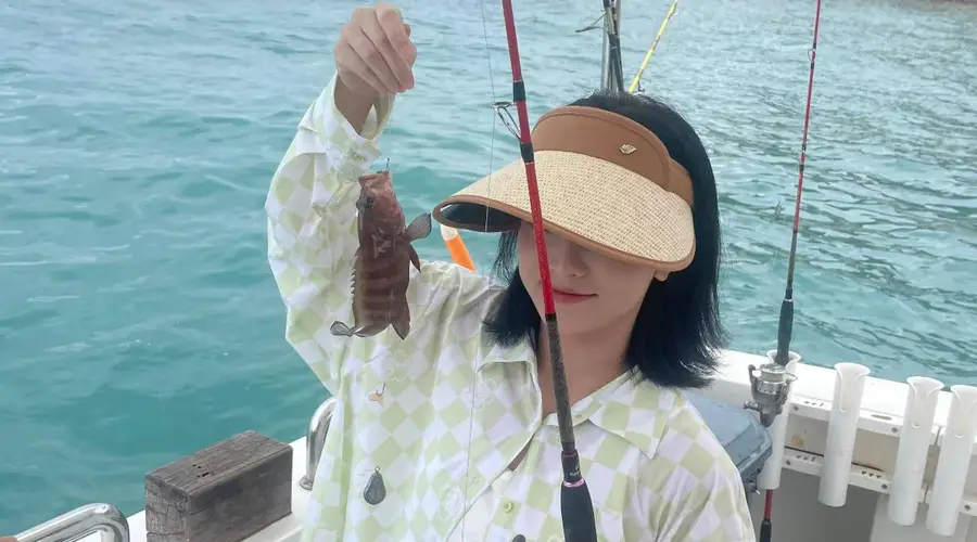 三沙两万株椰树产出三百万颗椰果 成西沙热门伴手礼