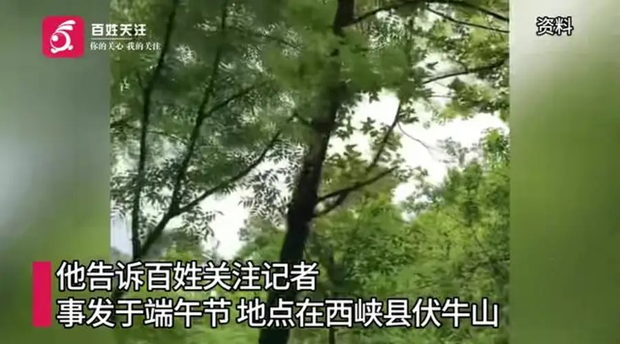 河南一男子上山祭祀遭老鹰偷袭:一度怀疑自己撞鬼了,期间共遭3次俯冲攻击;男子仅受皮外伤,目前已就医并接种破伤风疫苗
