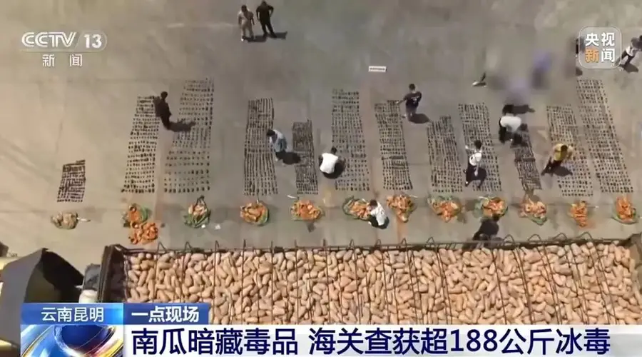 南瓜暗藏毒品,昆明海关查获超188公斤冰毒
