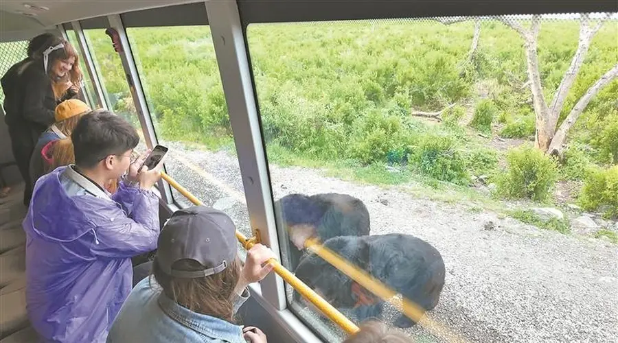 黑瞎子岛夏日胜景迎客来
