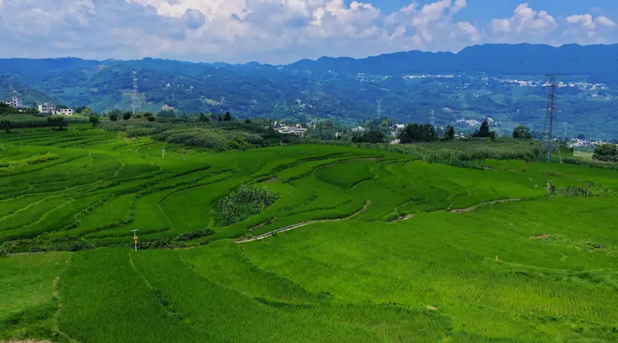 大方县小屯乡：千亩梯田，还你夏日清凉
