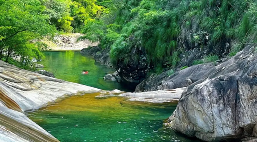 丽水赴沪发布避暑旅居精品路线，送上“秀山丽水新村民”邀请函