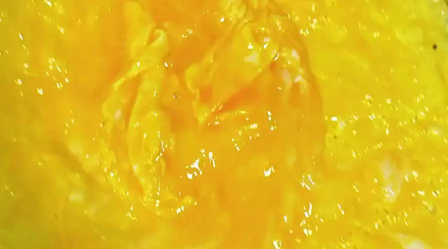 海鲜菇炒鸡蛋皮梁子湖的腌鳜鱼空气炸锅烤的鸡腿还有我最爱的沙拉芝麻菜爱就是一起吃好多好多顿饭
