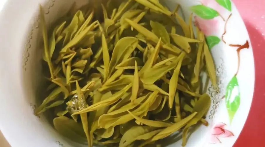 兰韵隐云间,80℃冲泡独品开化龙顶