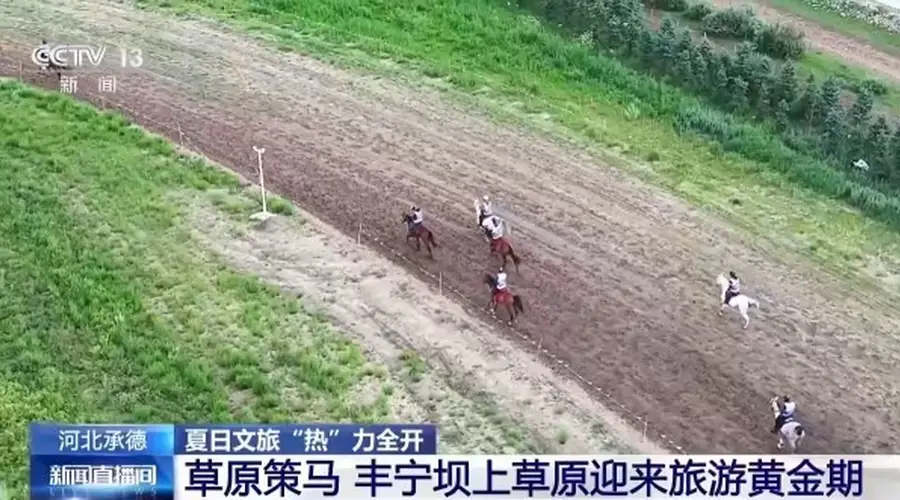 各地推出“夏日限定”文旅项目:草原骑马、伏羊盛宴、文博之旅等特色体验受青睐