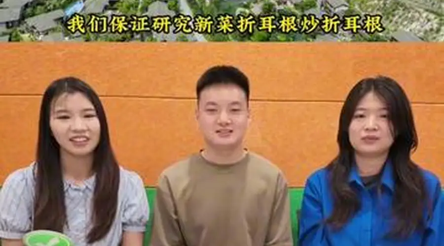 什么样的文旅宣传片值得“一张机票”?|可评