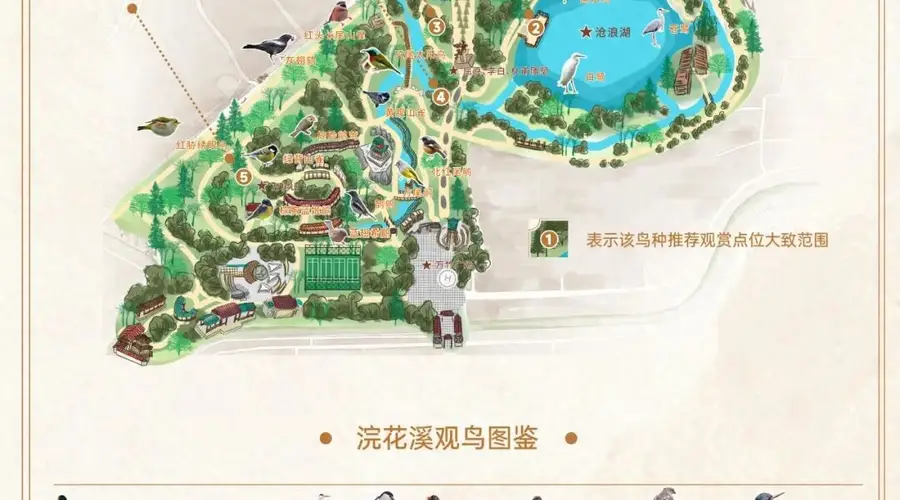 浣花溪公园观鸟地图上线 现场捕捉259种鸟类奇观