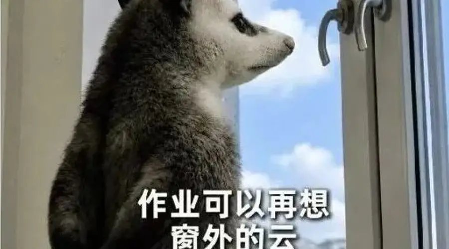 中国美院新生录取通知书附带速写作业30份 开学需上交