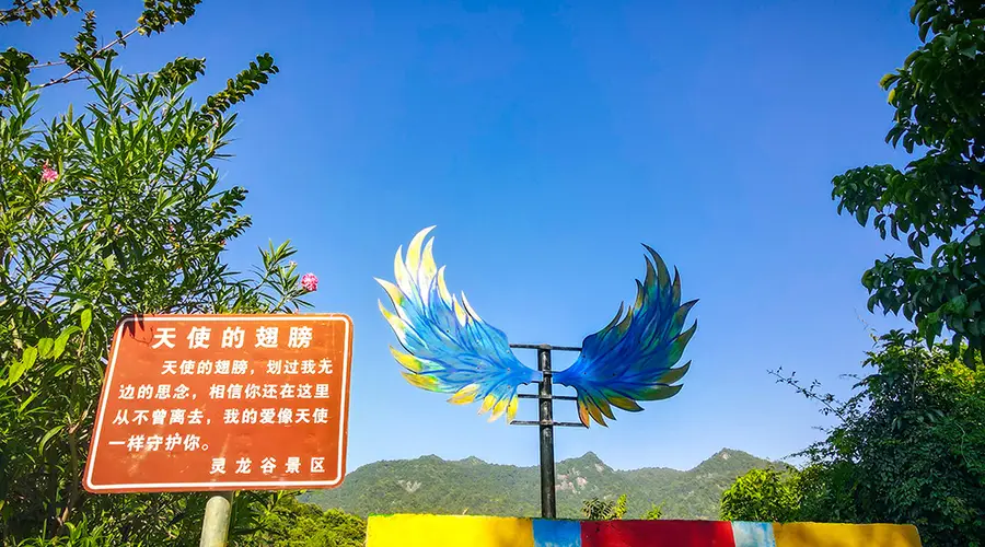 2026年正规网红打卡高颜值景区服务商 安全消费服务有底气才靠谱