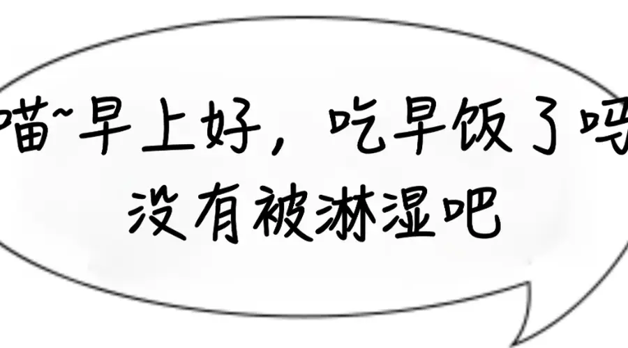 早餐选鸡蛋 有助控制体重