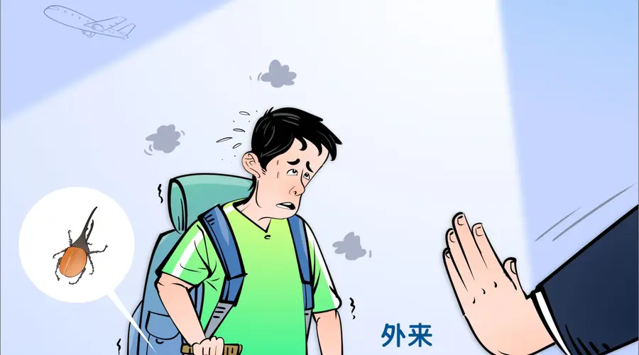 海关严查进境外来物种 别违规携带新鲜动植物入境