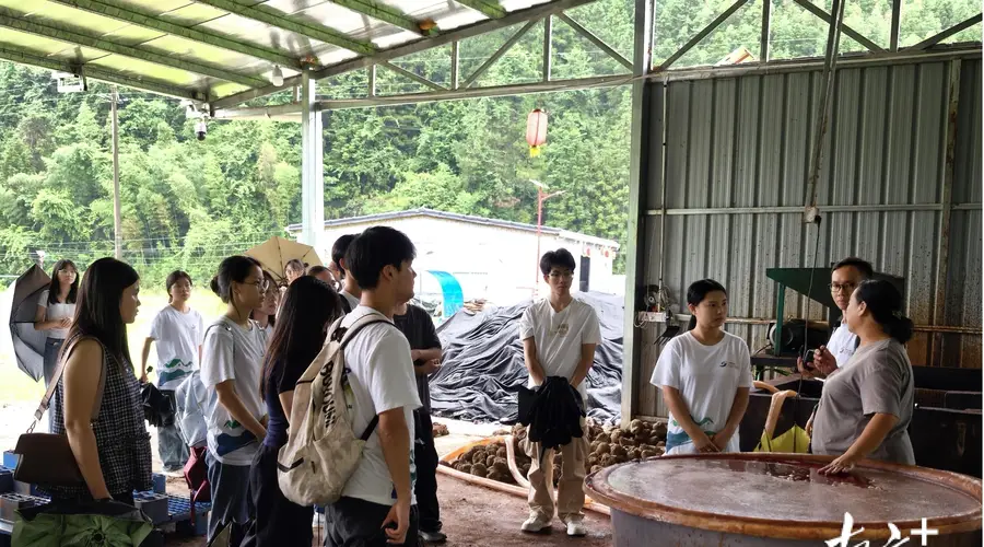 连山福堂返乡青年探访非遗基地 沉浸式体验香云纱古法技艺 读懂本土发展机遇