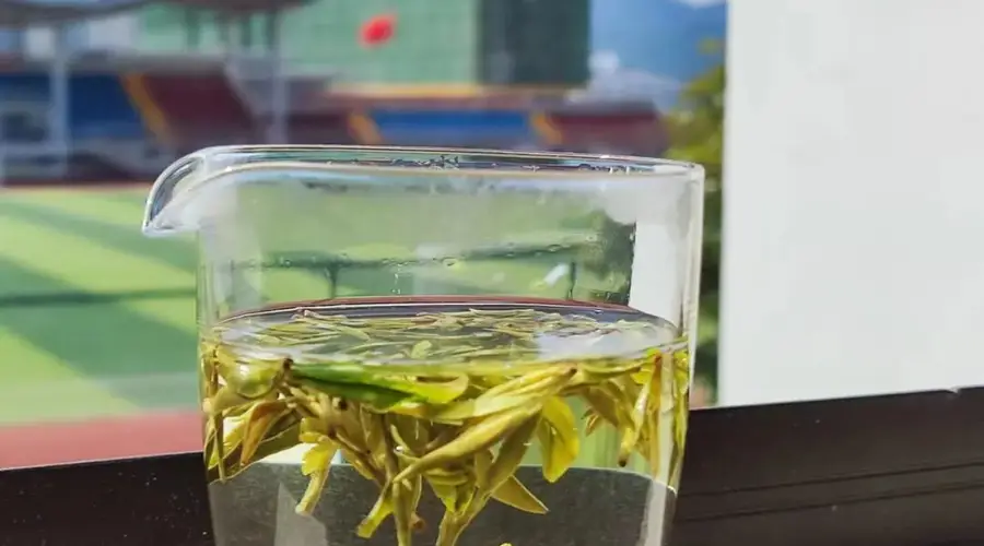 徽州松萝,自带橄榄香的千年药茶