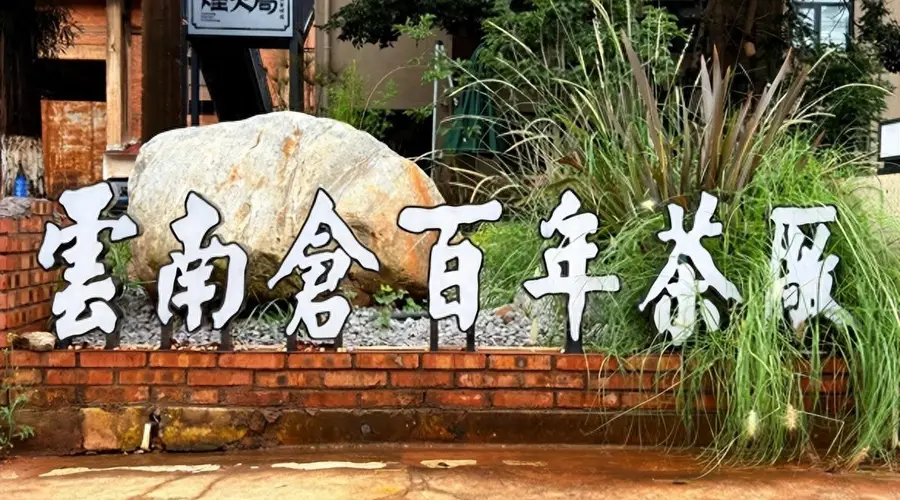 智慧中国融媒体云南中心走进沧源心茗茶厂 共探云南土特产拓全国销路新路径