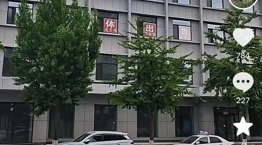塌房两年后,“东北雨姐”拟3500万出售电商孵化基地