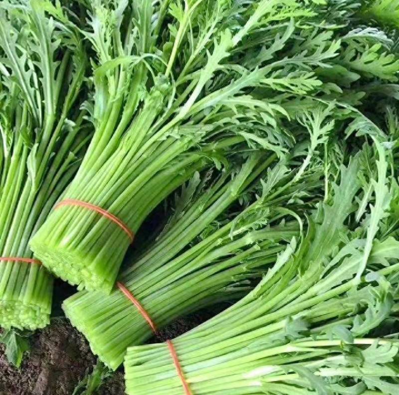 和脾胃、清心火、消痰止咳！这种蔬菜现在吃正合适→