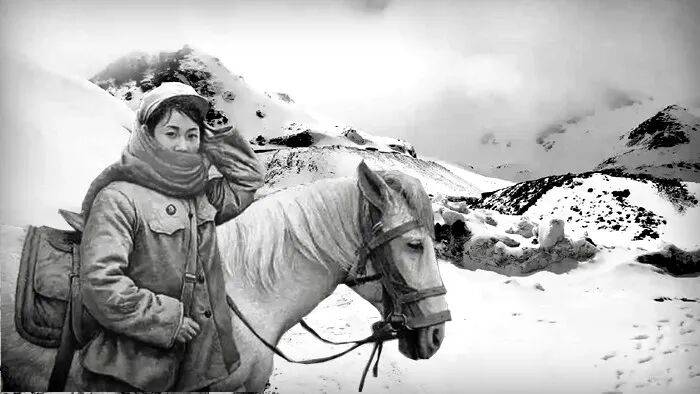 李爱华《西藏日记》连载39：马蹄踏碎千里雪
