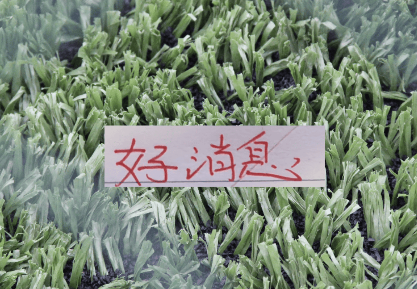 好消息！北京国安10号发文报平安 之前入选5月官方最佳候选人