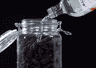 桑葚桑果泡酒用什么酒最好?最全选择指南揭晓