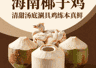 海南椰子鸡:三个椰子一只鸡,清甜汤底涮出鸡肉的本真鲜