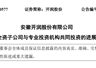 DeepSeek估值,被一家安徽箱包公司给全部暴露了