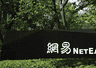 网易Q2:游戏收入250亿,《诡影藏锋》《雾海之下》等进入密集测试