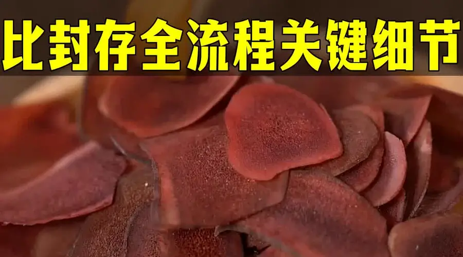 鹿茸泡酒全流程来啦！新手也能懂的配比封存关键细节