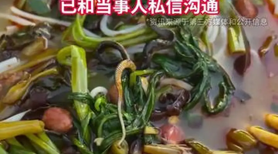 广西南宁一女子吃螺蛳粉竟吃出一条蛇，称连解释和安抚都没有；涉事摊主发声明：就顾客吃出小菜花蛇一事，诚恳致歉并愿赔偿