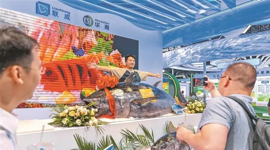 全球近20个国家和地区的优质渔产品在深圳集中展示 千斤蓝鳍金枪鱼游上市民餐桌