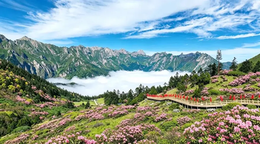 走,去雷古山顶赴一场杜鹃花约