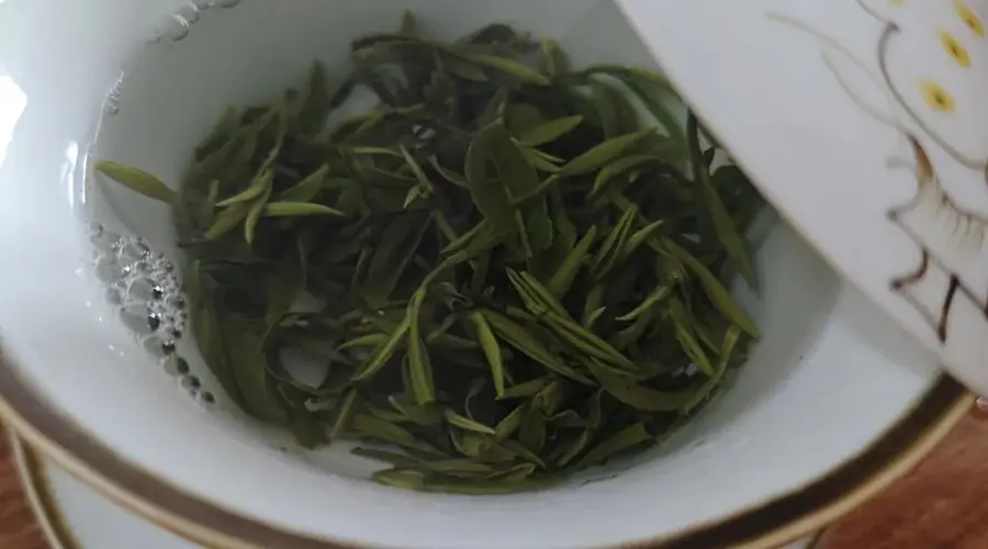 夏饮雨花,金陵清欢