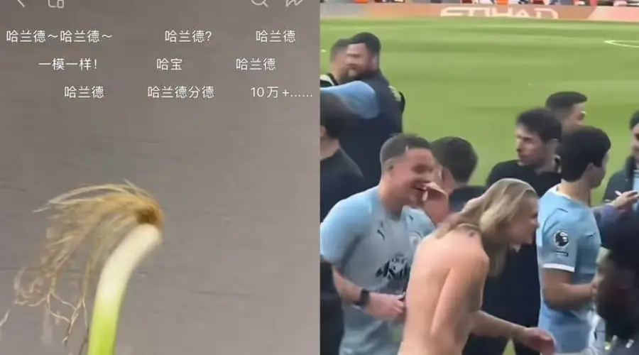 浏览量破亿哈兰德本尊回复！爆火的“哈兰葱”竟是重庆小伙花一小时精挑的蒜苗
