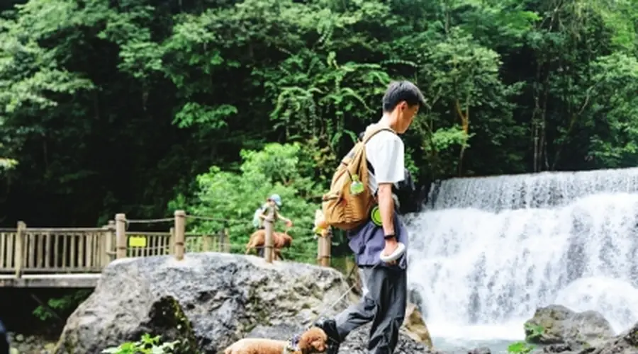 今起西岭雪山后山半山对宠物正式开放