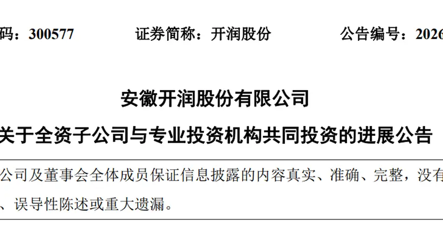 DeepSeek估值,被一家安徽箱包公司给全部暴露了