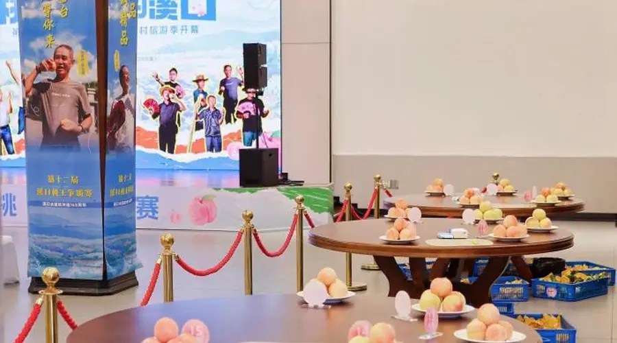 一颗水蜜桃 如何解锁浙江乡村旅游长红流量密码?