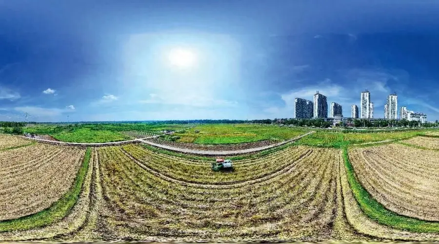 警惕撂荒地复耕后返荒 推进耕地有效利用
