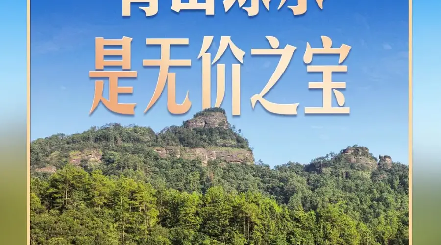 习近平南平调研茶产业 强调统筹做好茶文化茶产业茶科技大文章