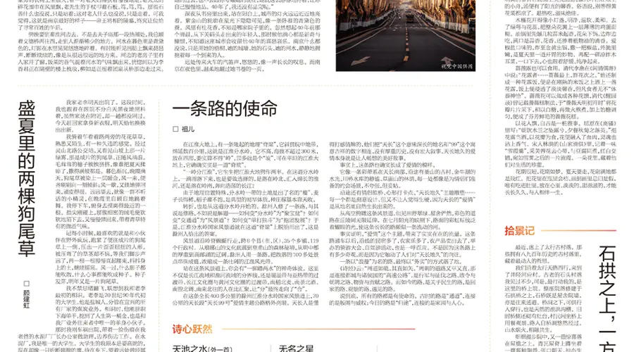 南京春日感怀:四十年相伴的城市温度