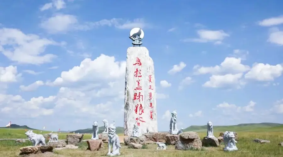 游客打卡《狼图腾》拍摄地被拉到山寨“野狼谷”,狼群“狗里狗气”?当地文旅:确有私人同名景区