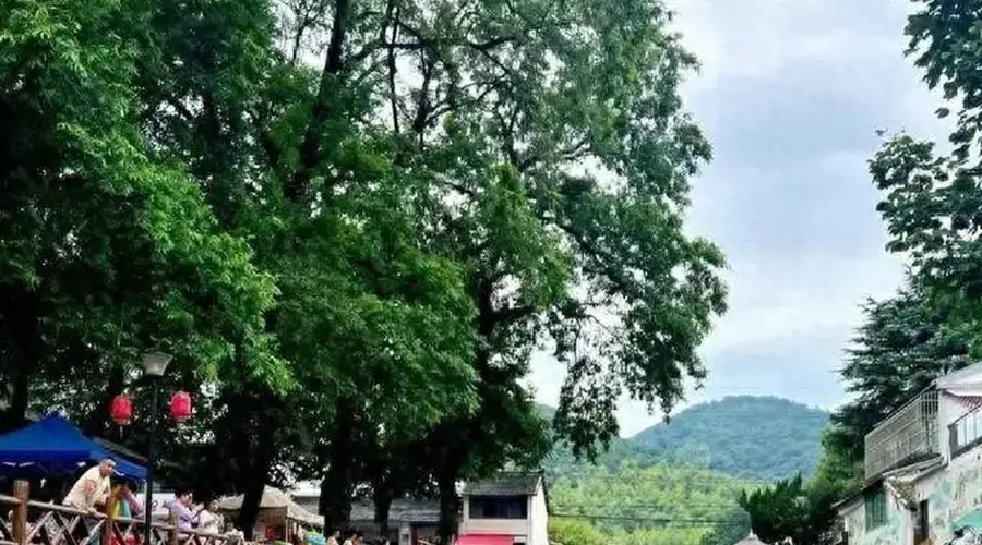 宜宾人避暑换玩法 今年扎堆家门口溯溪